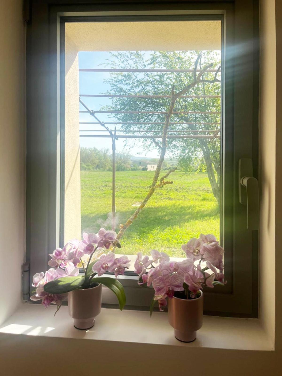 曼讷Le Petit Cabanon Provencal别墅 外观 照片