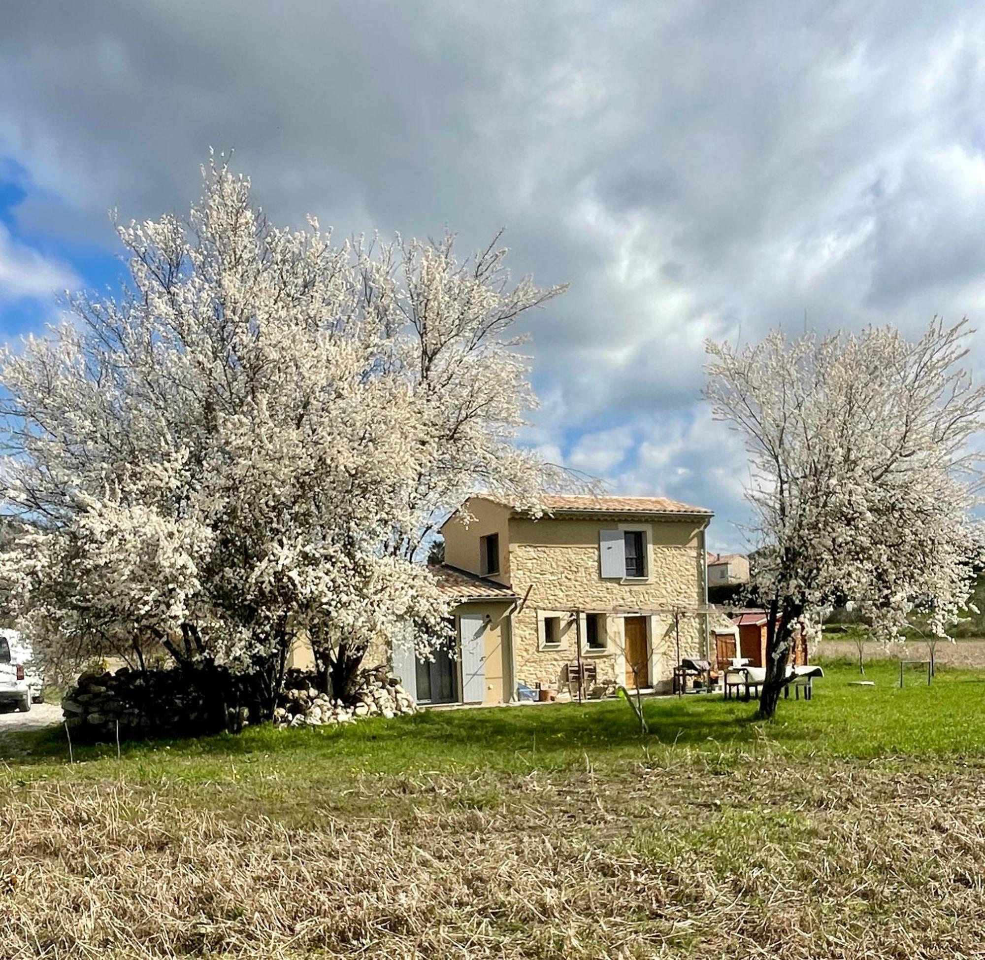 曼讷Le Petit Cabanon Provencal别墅 外观 照片